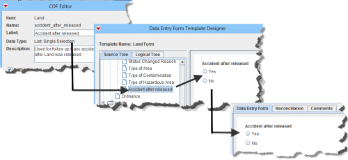 Figure 142. CDFs and Data Entry Form Items