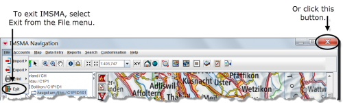 Options for Exiting IMSMA
