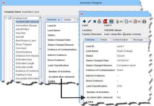 Figure 143. Custom Defined Field Viewable in Summary Window