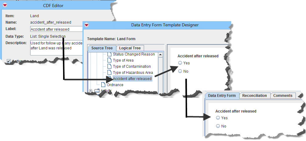CDFs and Data Entry Form Items