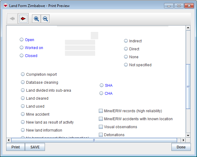 Print Preview Window