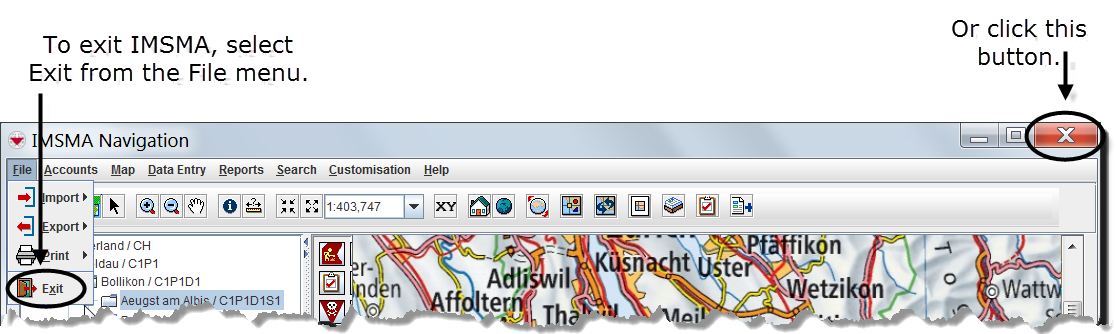 Options for Exiting IMSMA