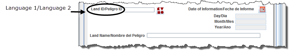 Example of a Multilingual Data Entry Form Template