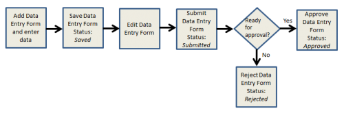 Figure 39. Data Entry Form Process